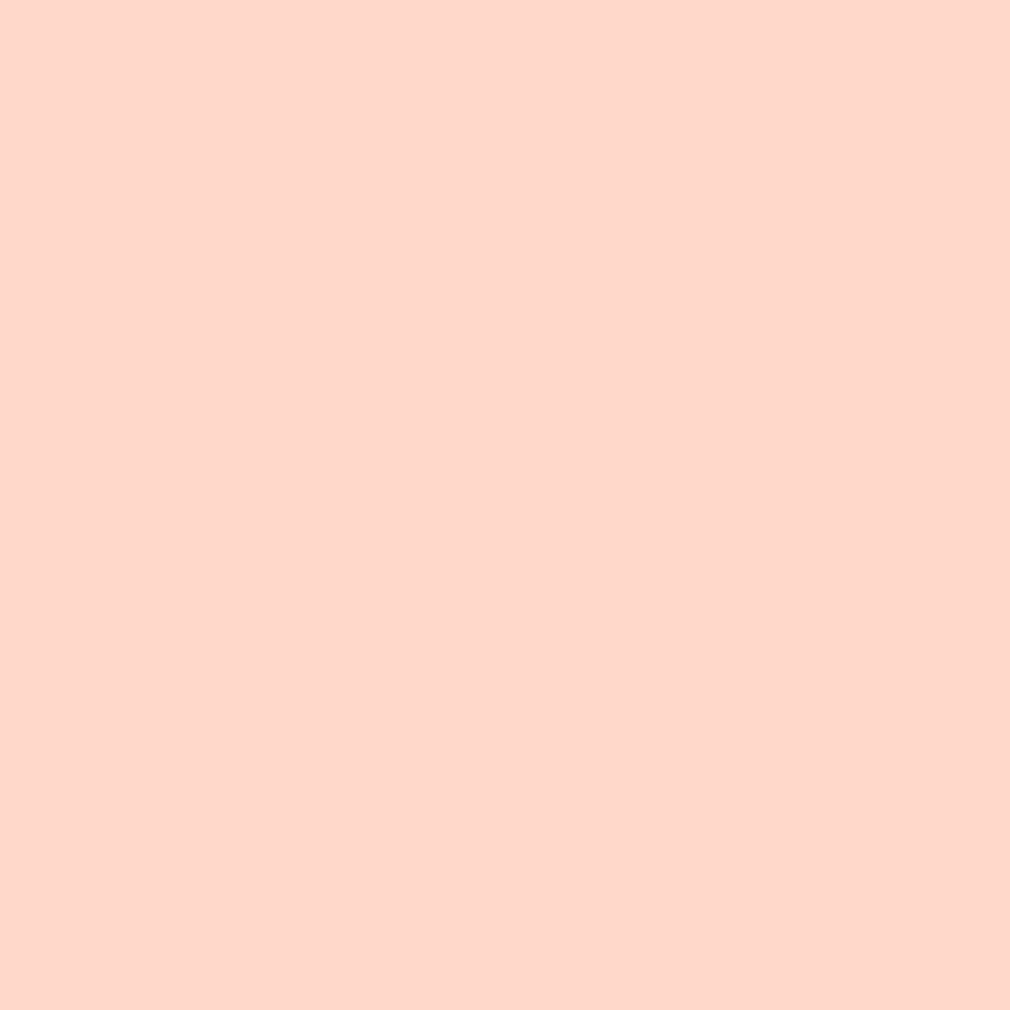 N 023 - bonbon