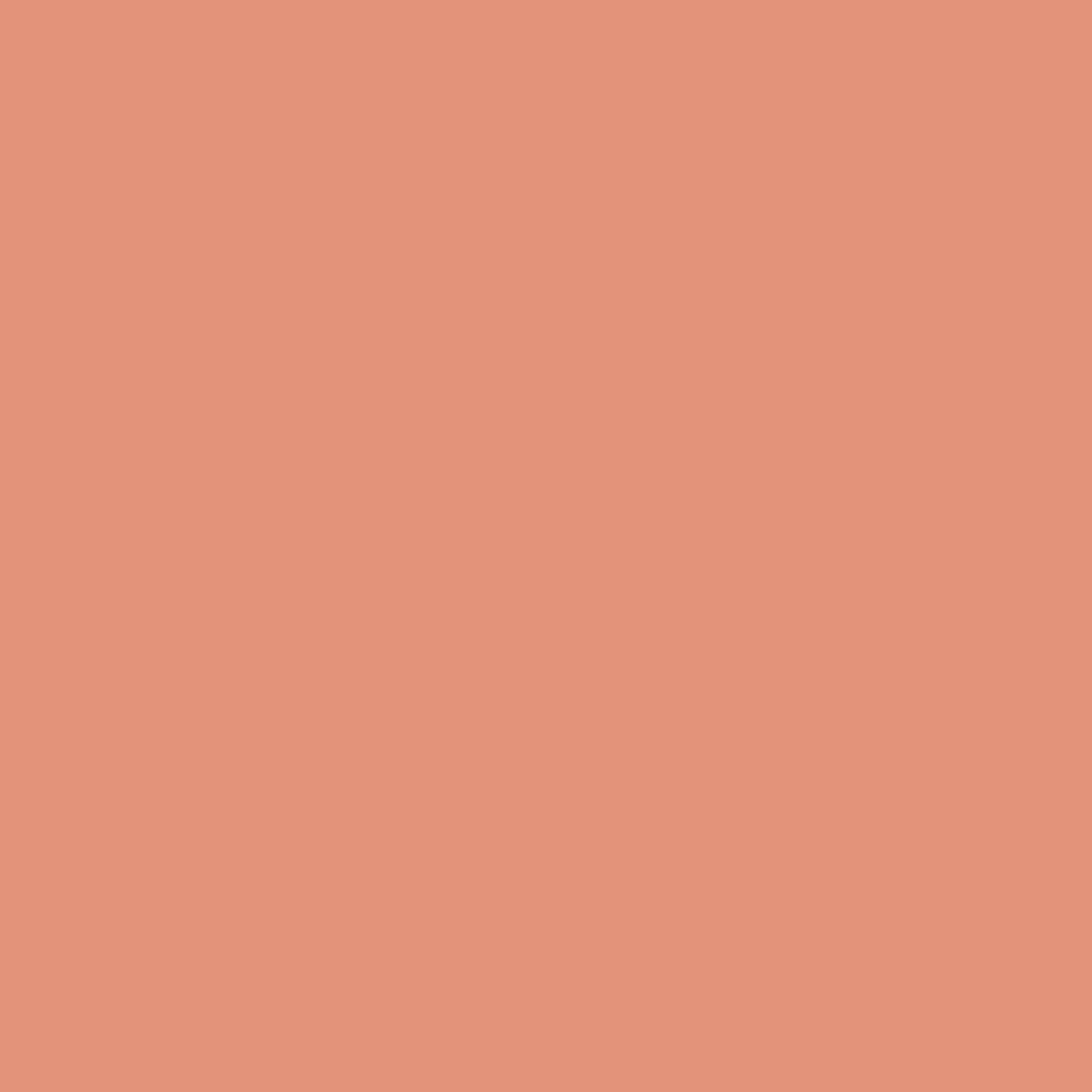 N 029 - zora