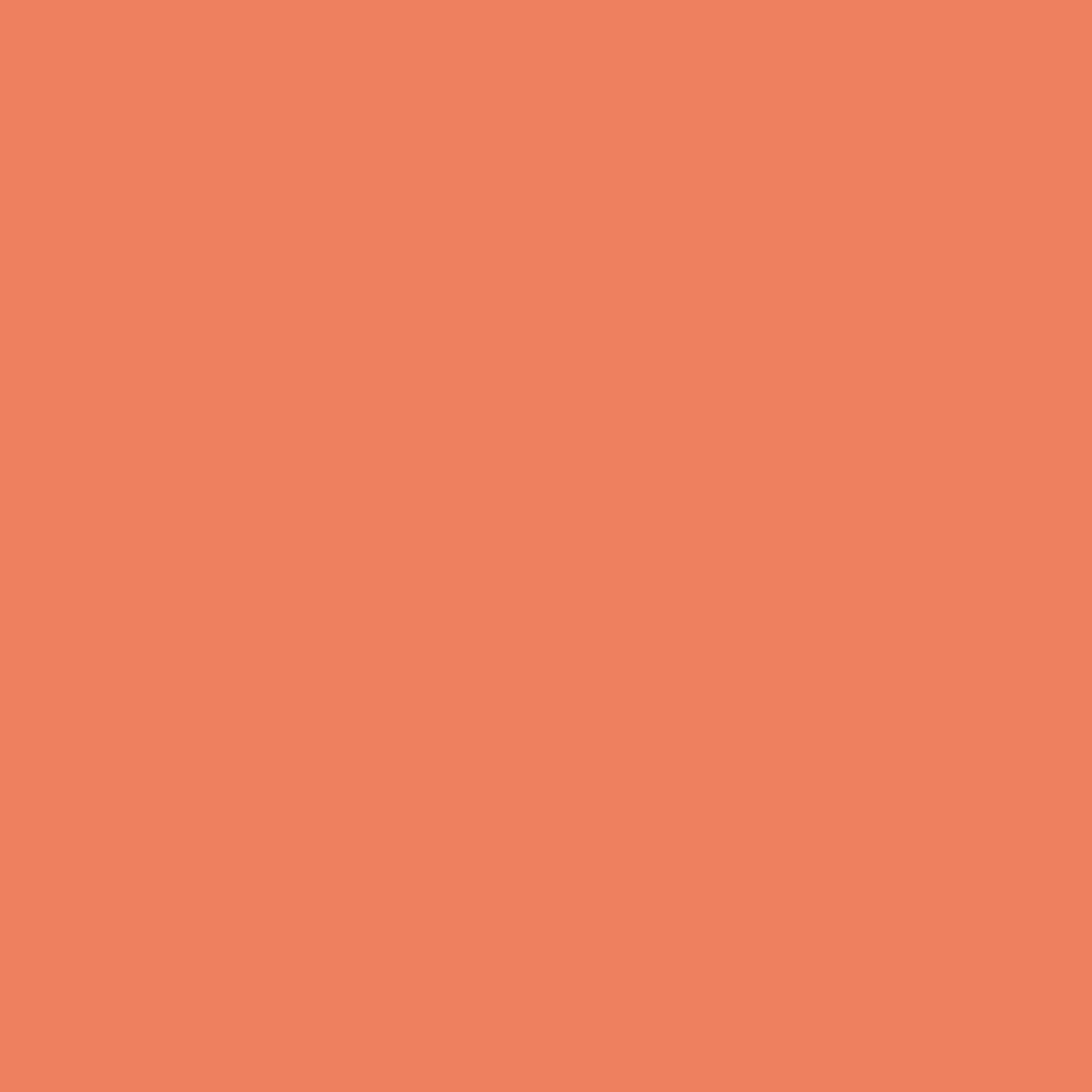 nuvoo Box N 030 - fox