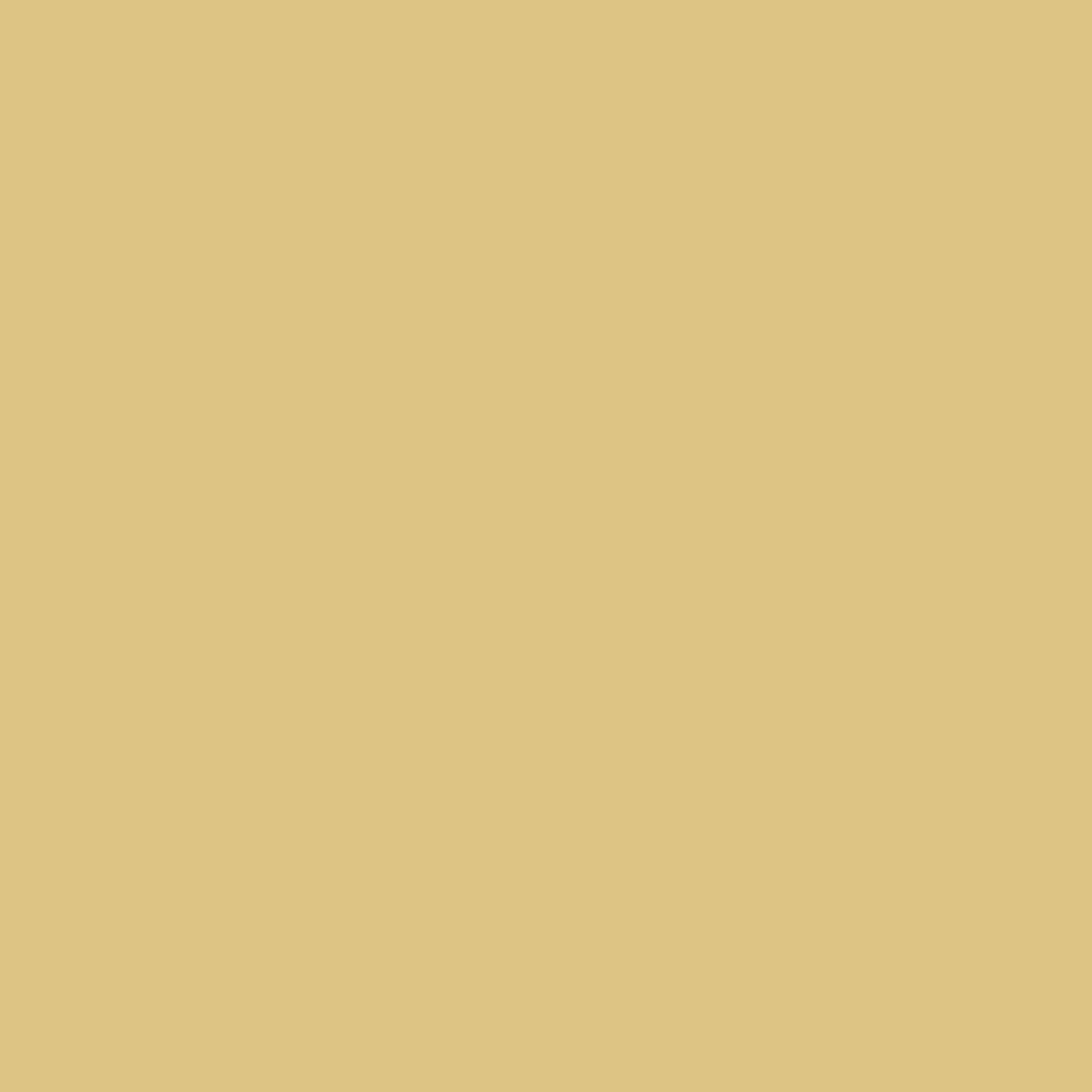 N 040 - senf