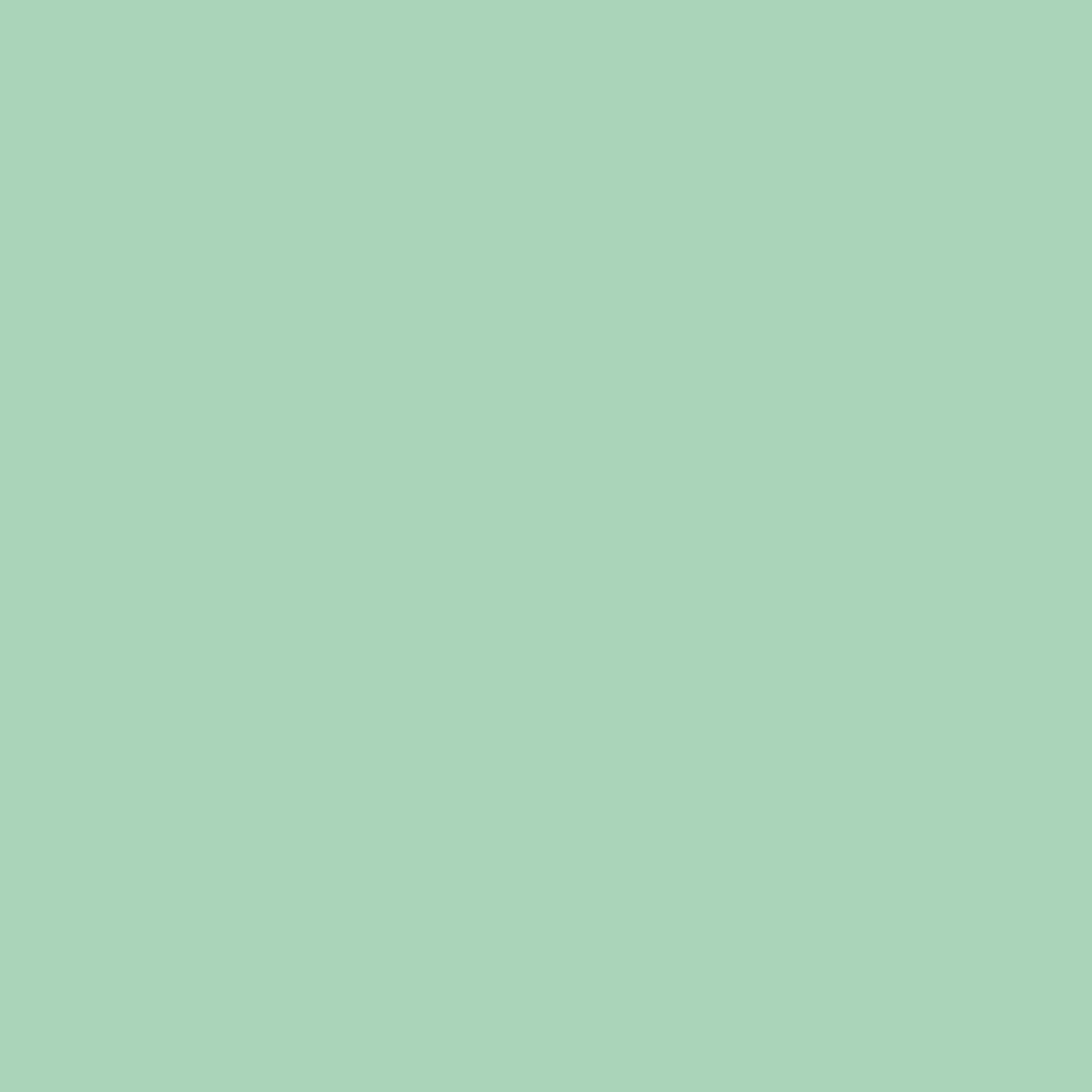 N 042 - wasabi