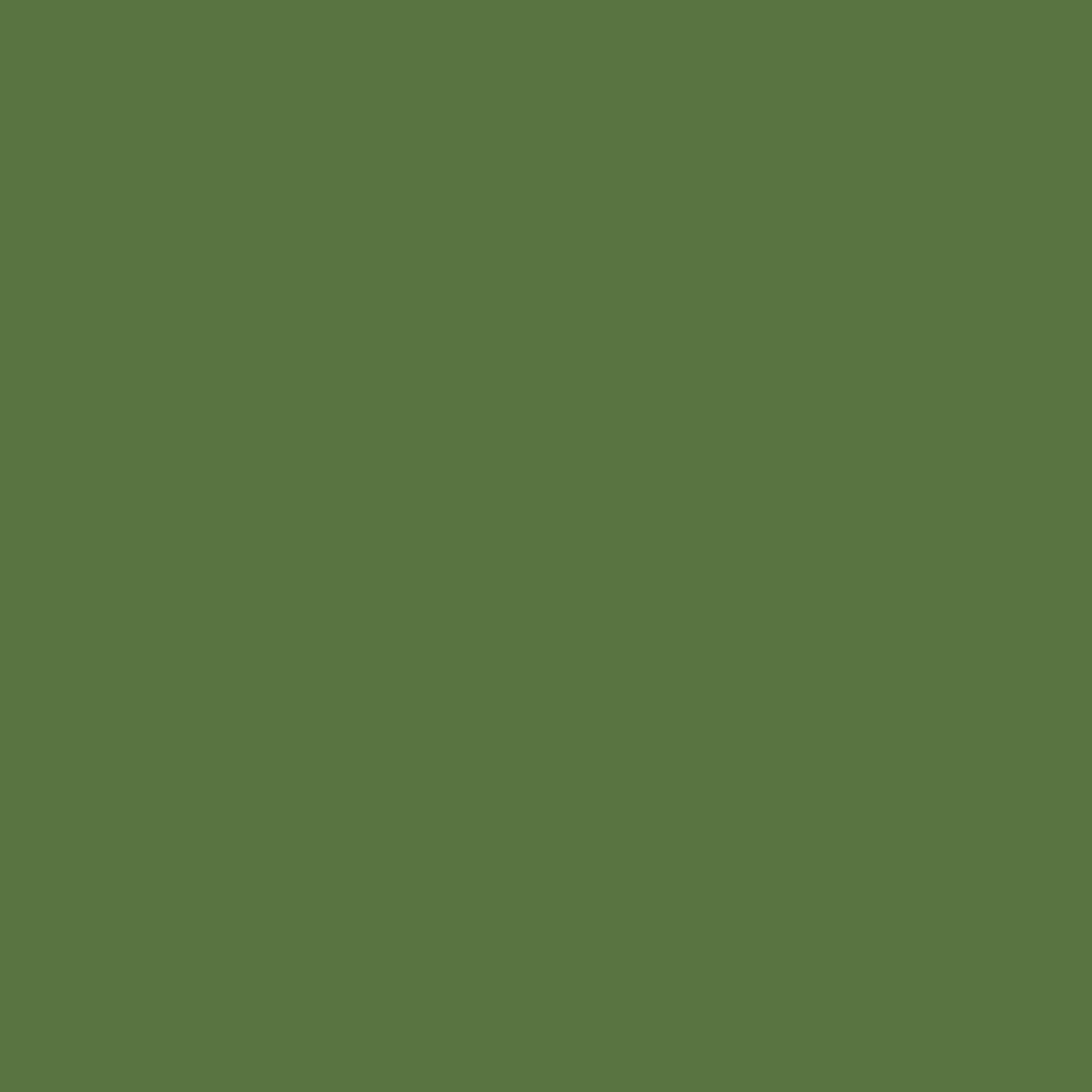 N 047 - dollar